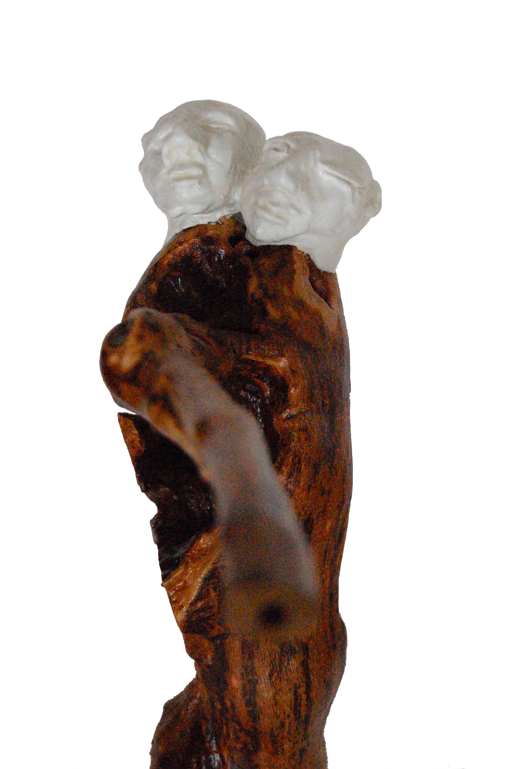 blickwinkel-_-vorderansicht